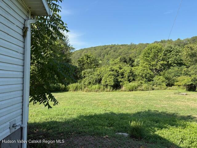 37 Willow Brook Farm Road Athens, NY 12414 - Photo 3 of 26 a view of grassy field with grass