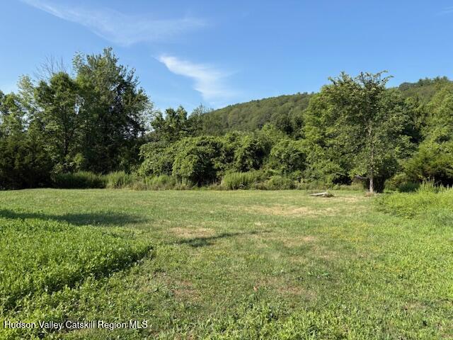 37 Willow Brook Farm Road Athens, NY 12414 - Photo 4 of 26 a view of a field with grass and trees