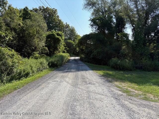 37 Willow Brook Farm Road Athens, NY 12414 - Photo 5 of 26 a view of backyard with green space