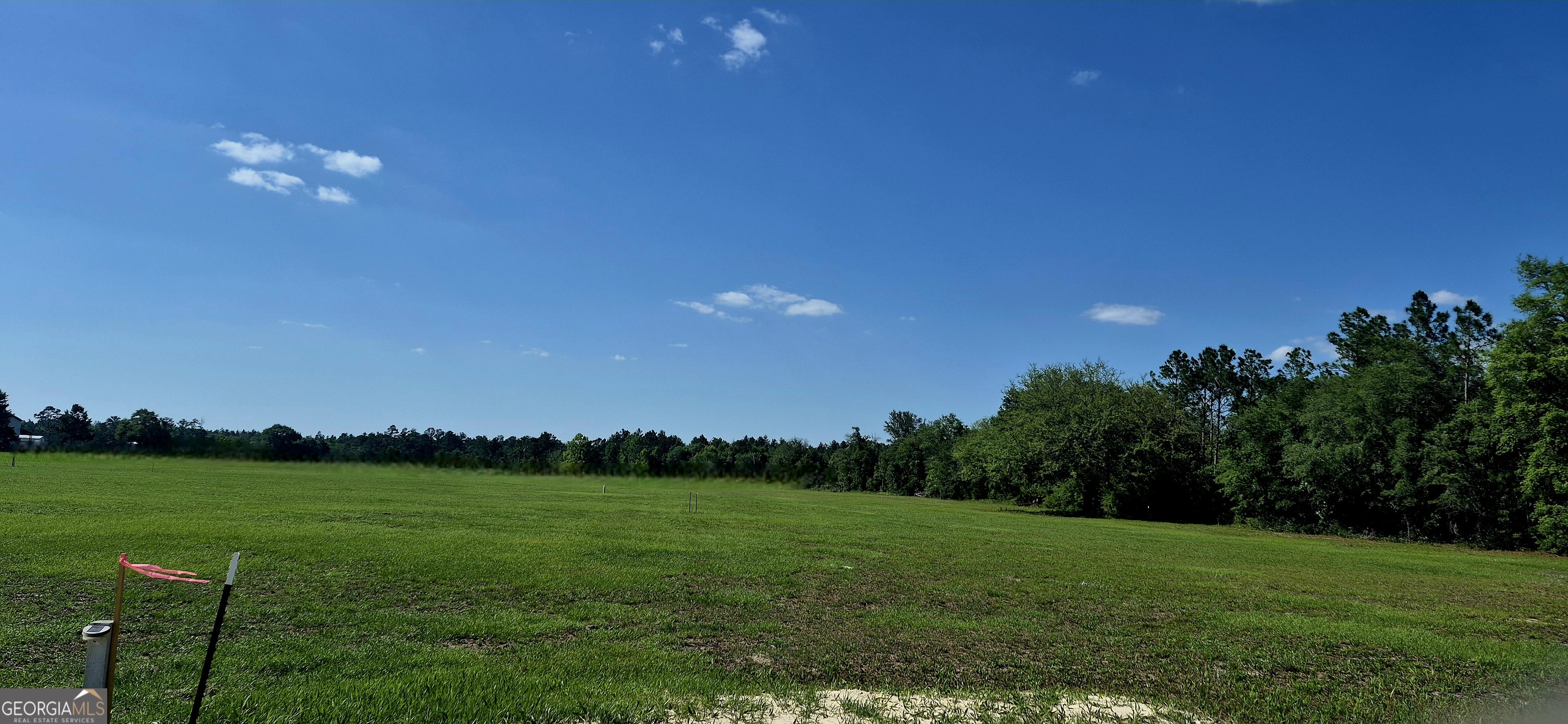469 Barber Branch Road St. George, GA 31562 - Photo 5 of 6