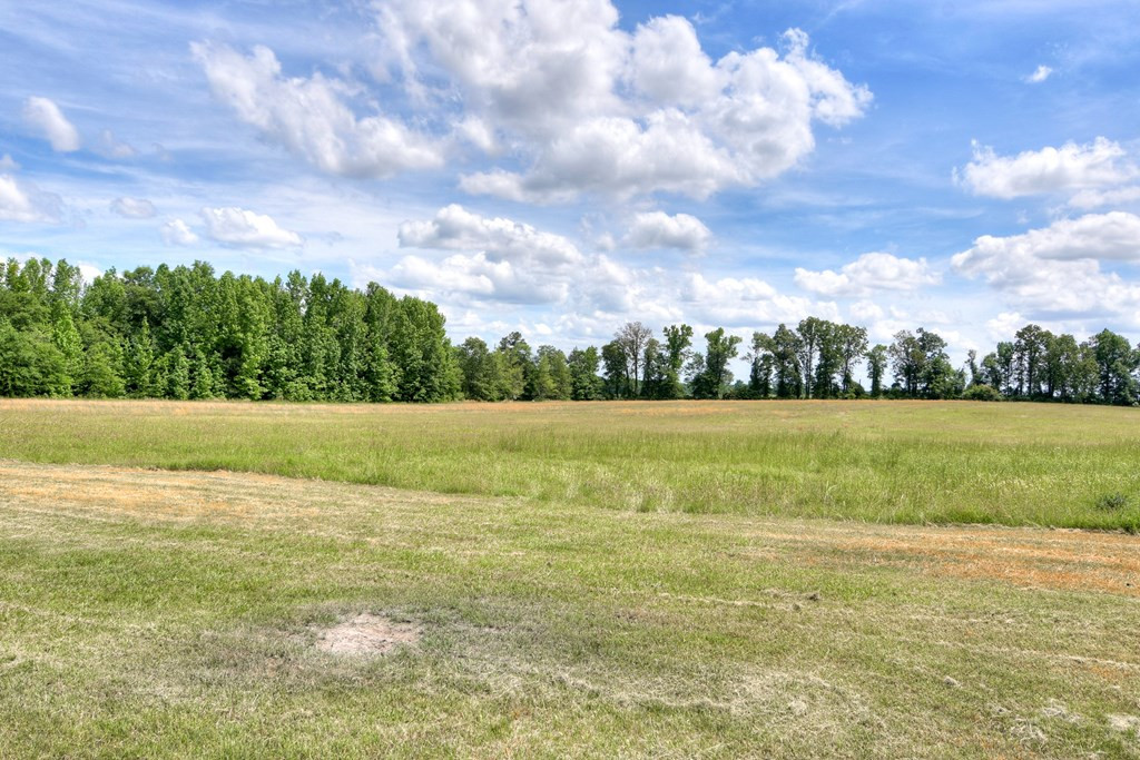 370 Poole Melton Road, Unit D Blythe, GA 30805 - Photo 24 of 25 Gallery Image 24
