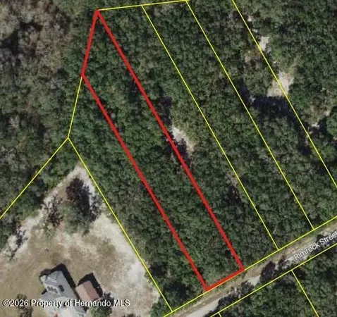 $110,000 | 0 Rimrock Street, Webster, FL 33597