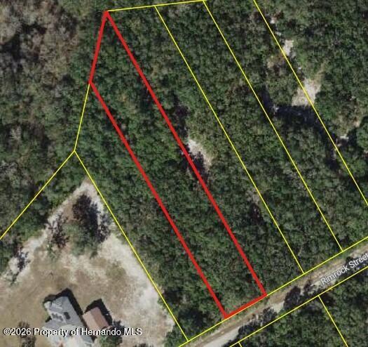 0 Rimrock Street Webster, FL 33597 - Photo 1 of 3