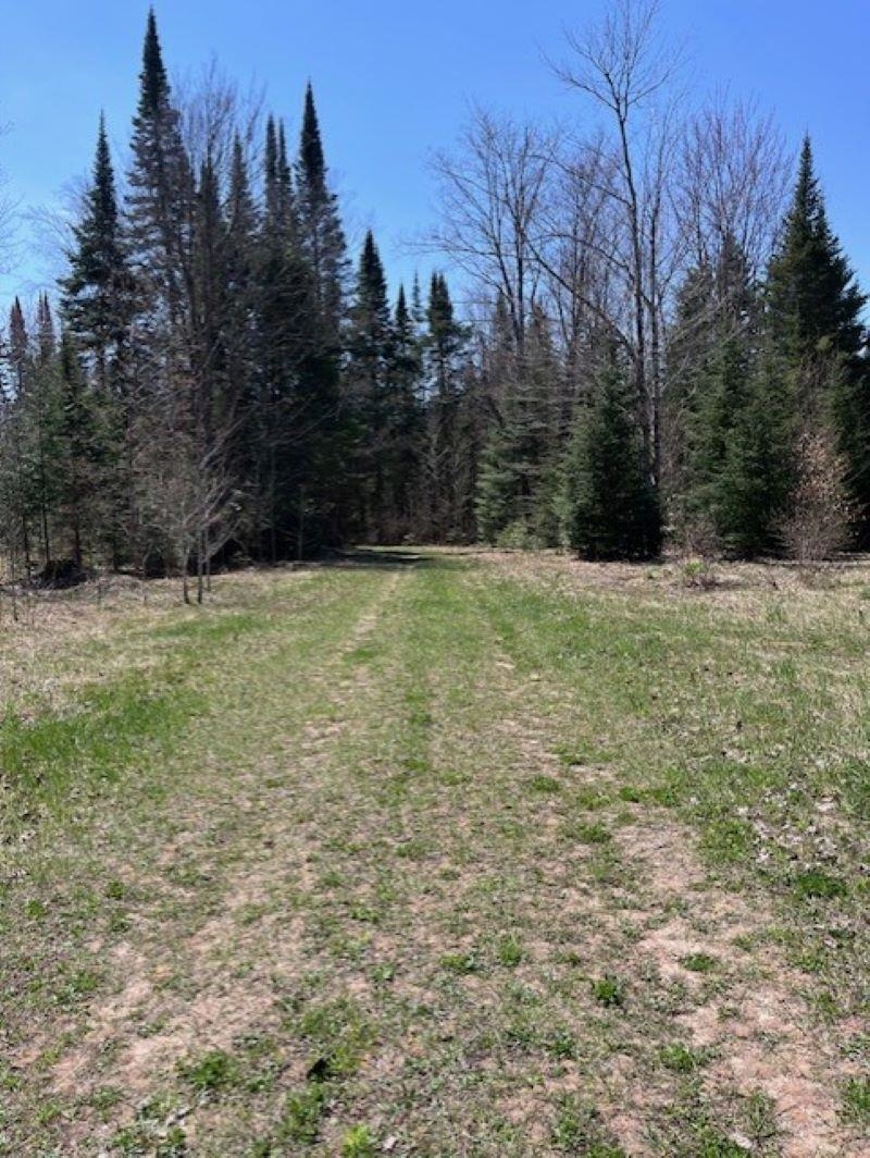 00 Camp 23 Road Germfask, MI 49836 - Photo 15 of 16