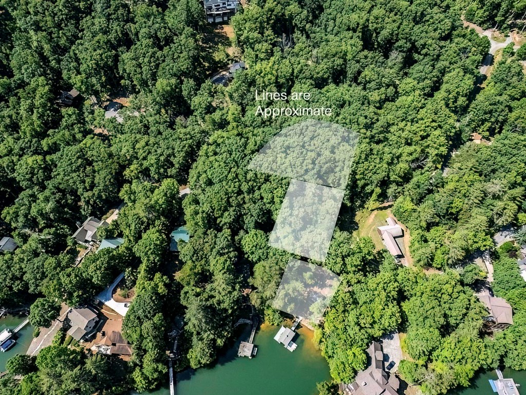 Lot 10 Indian Trail Blue Ridge, GA 30513 - Photo 17 of 20