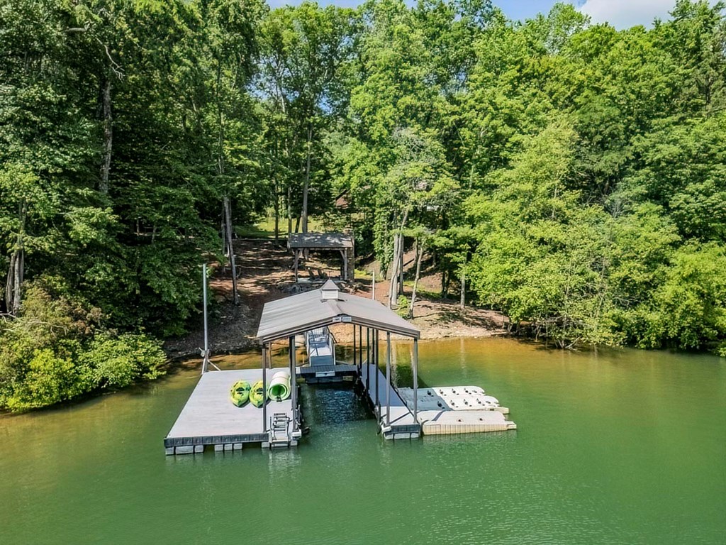 Lot 10 Indian Trail Blue Ridge, GA 30513 - Photo 3 of 20