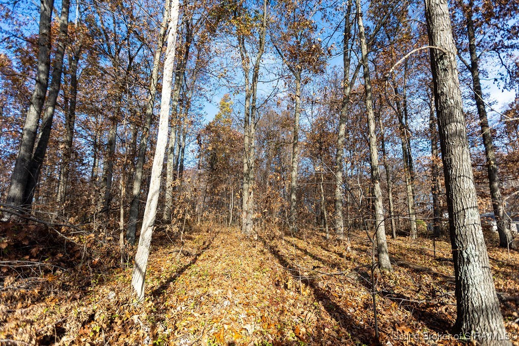 4224 Mel Smith Road New Albany, IN 47150 - Photo 7 of 10