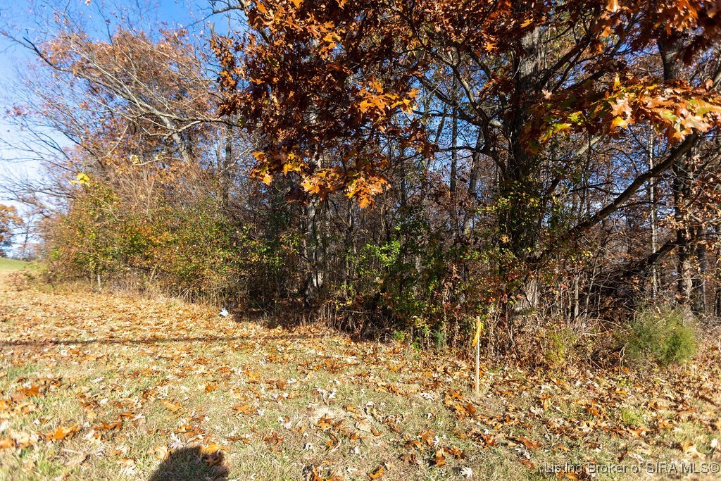 4224 Mel Smith Road New Albany, IN 47150 - Photo 8 of 10