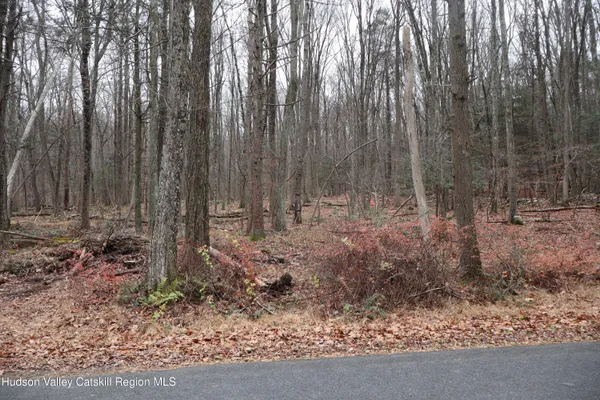 a view of outdoor space with green space