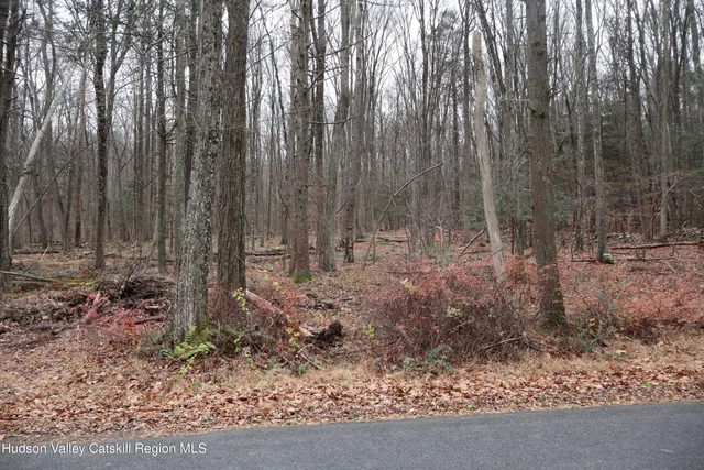a view of outdoor space with green space