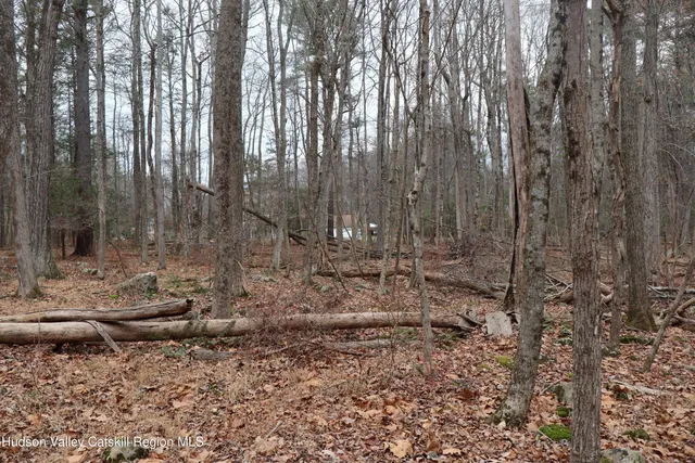 a view of outdoor space with lots of trees