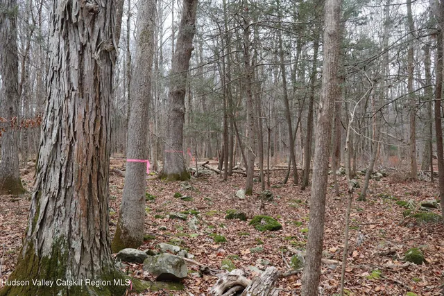 a view of a backyard of the house