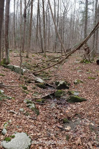 a view of a backyard of the house