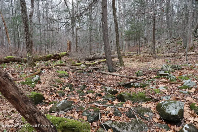 a view of a backyard of the house