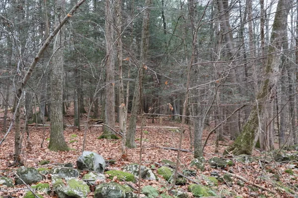 a view of a pathway with a yard