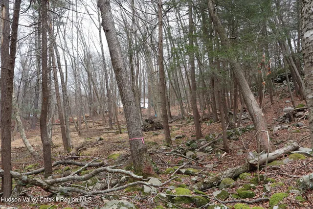 a view of a backyard of the house