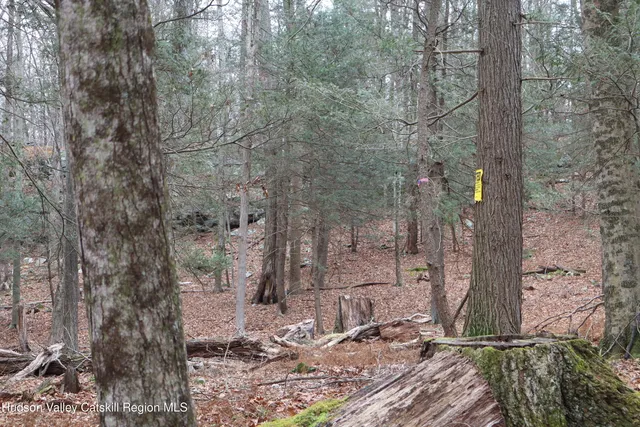 a view of a pathway of a building