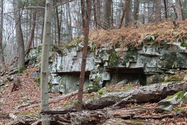 a view of a wooden house with a yard