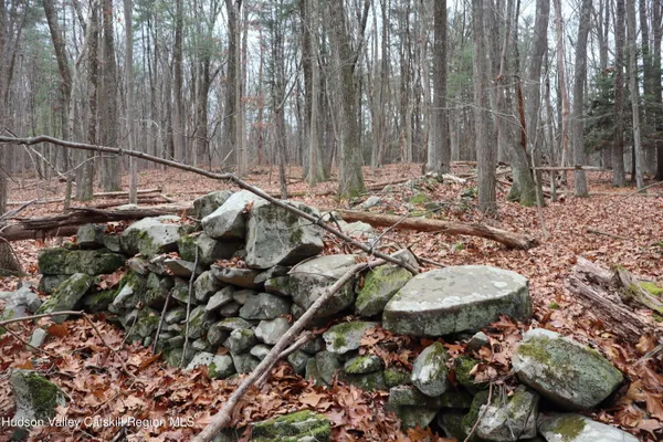 a picture of water view with lots of trees