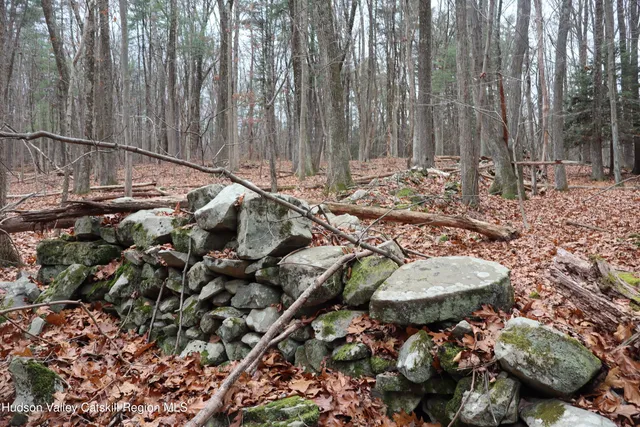 a picture of water view with lots of trees
