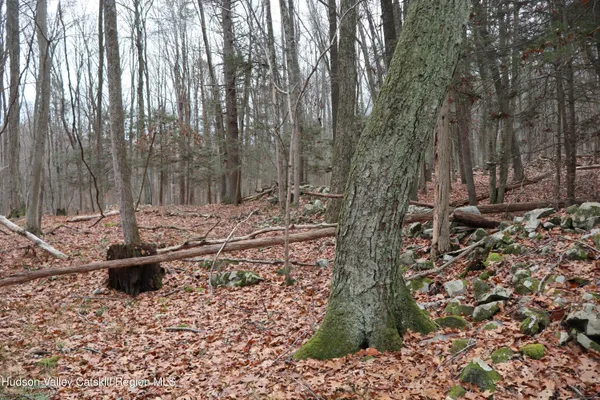 a view of a yard with fountain