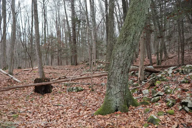 a view of a yard with fountain