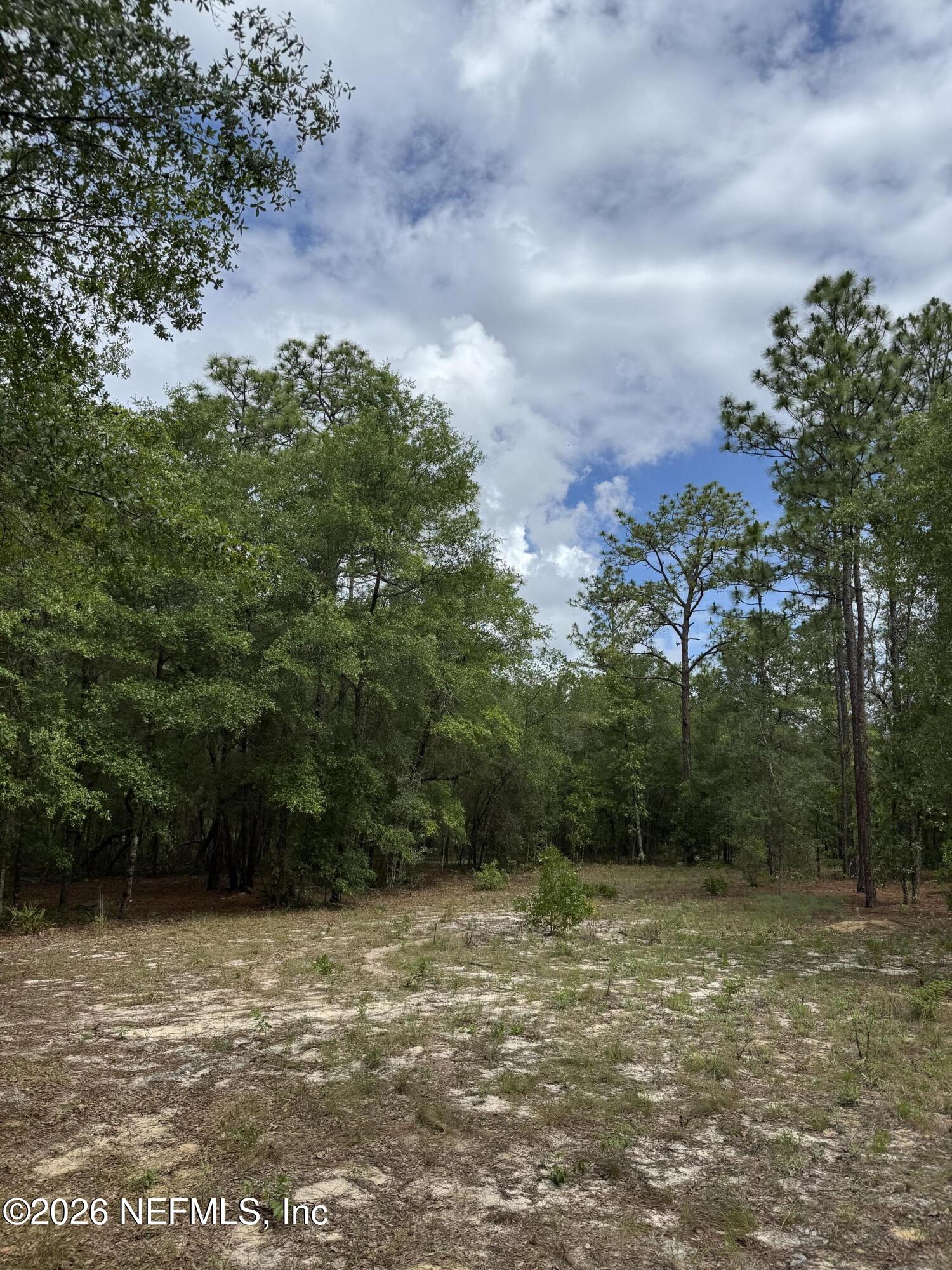 4477 M Lake Road Keystone Heights, FL 32656 - Photo 3 of 3 IMG_3650