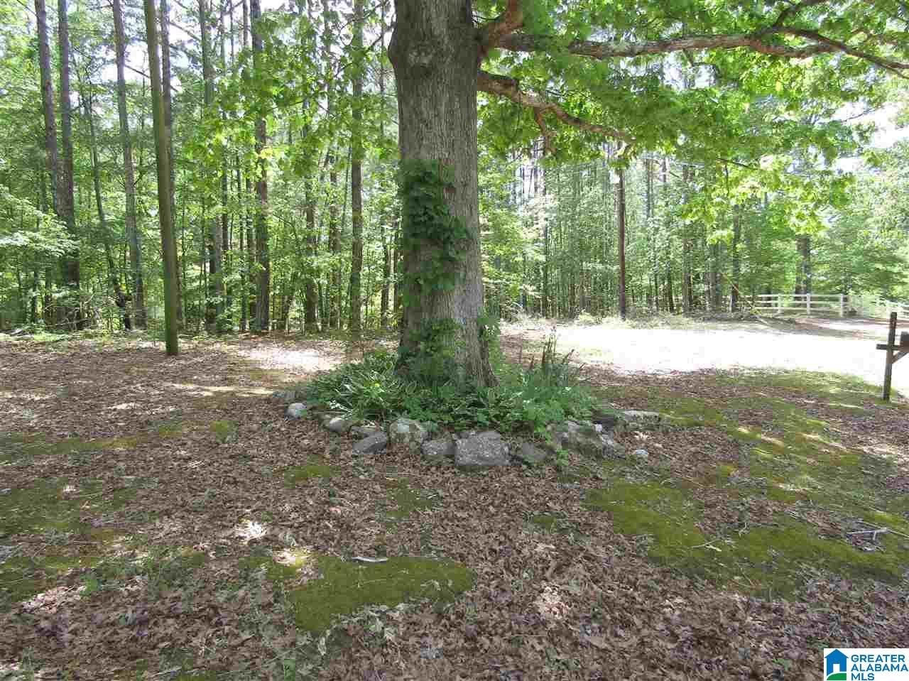 145 Floyd Road Wellington, AL 36279 - Photo 5 of 7