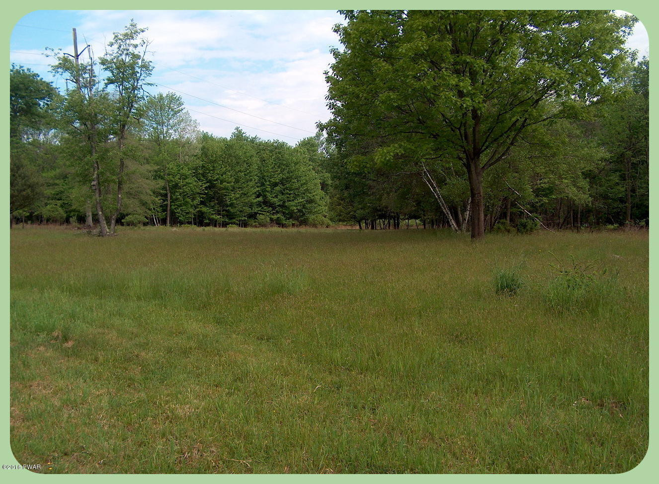 141 Gilpin Road Newfoundland, PA 18445 - Photo 53 of 54 Beautiful fields
