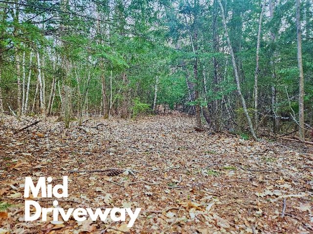 397 Shackford Corner Road Barnstead, NH 03225 - Photo 3 of 14