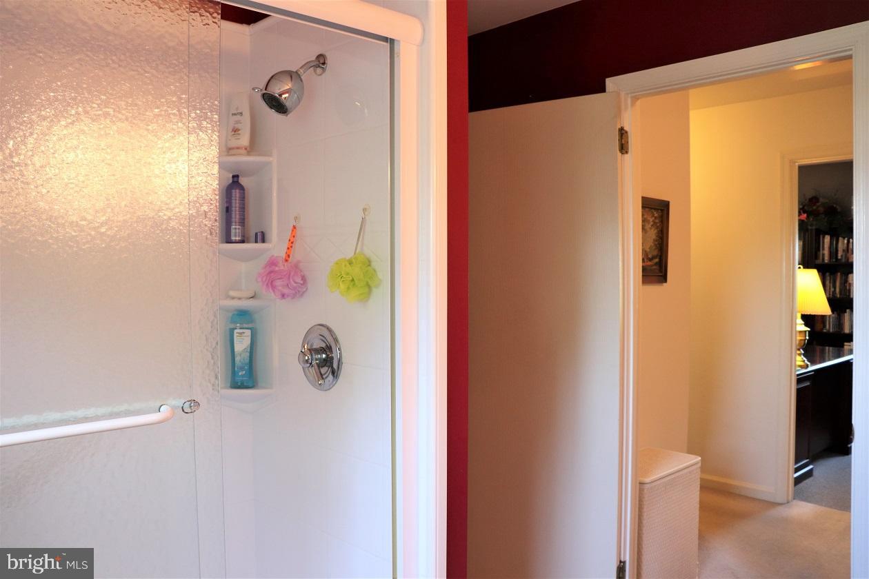 462 Willow Road Lancaster, PA 17601 - Photo 21 of 53 Main Bathroom w/Step-In Shower
