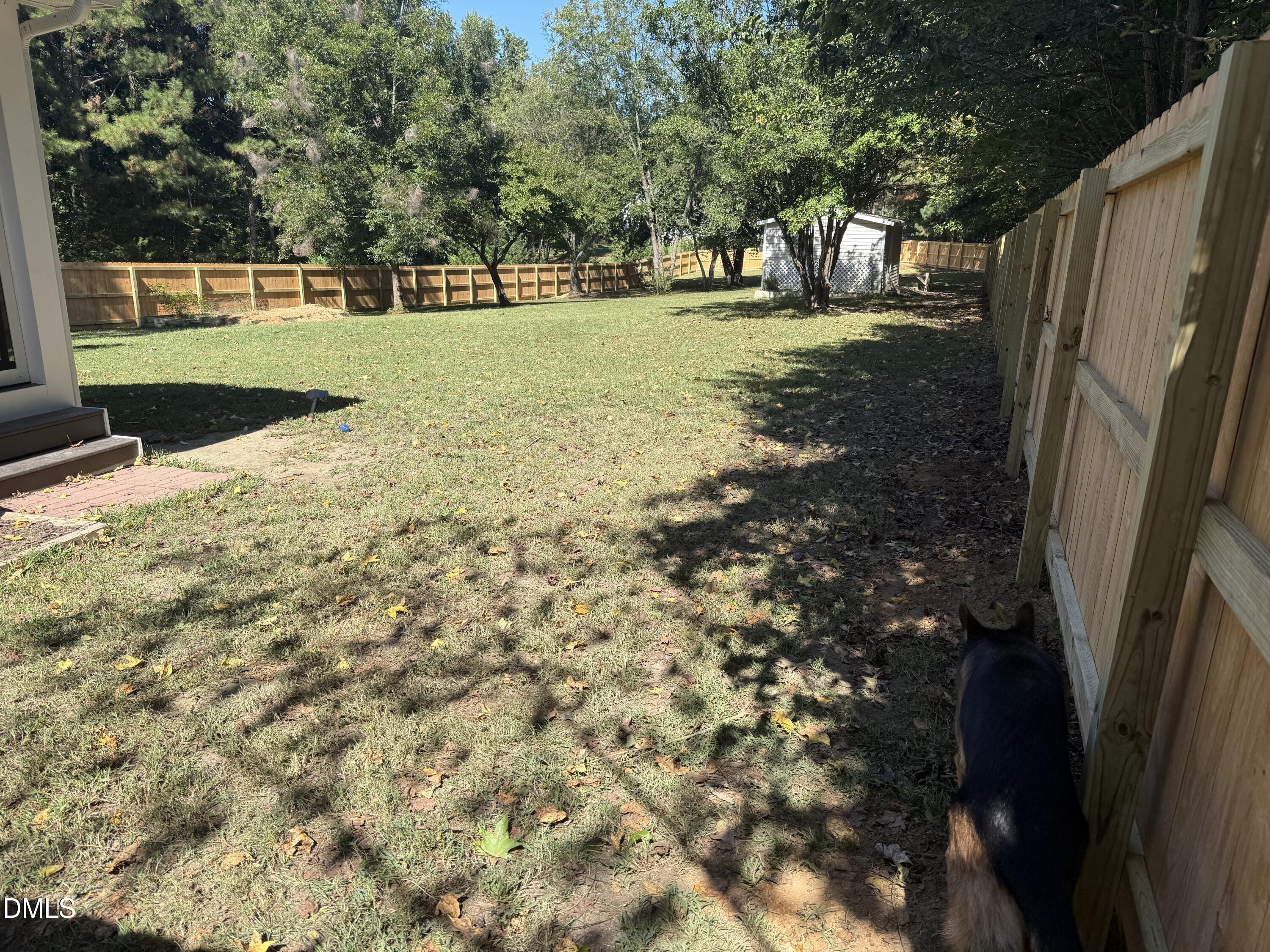 573 Arnold Road Louisburg, NC 27549 - Photo 15 of 16 a view of yard with tree