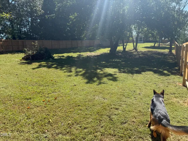 a view of a water fountain
