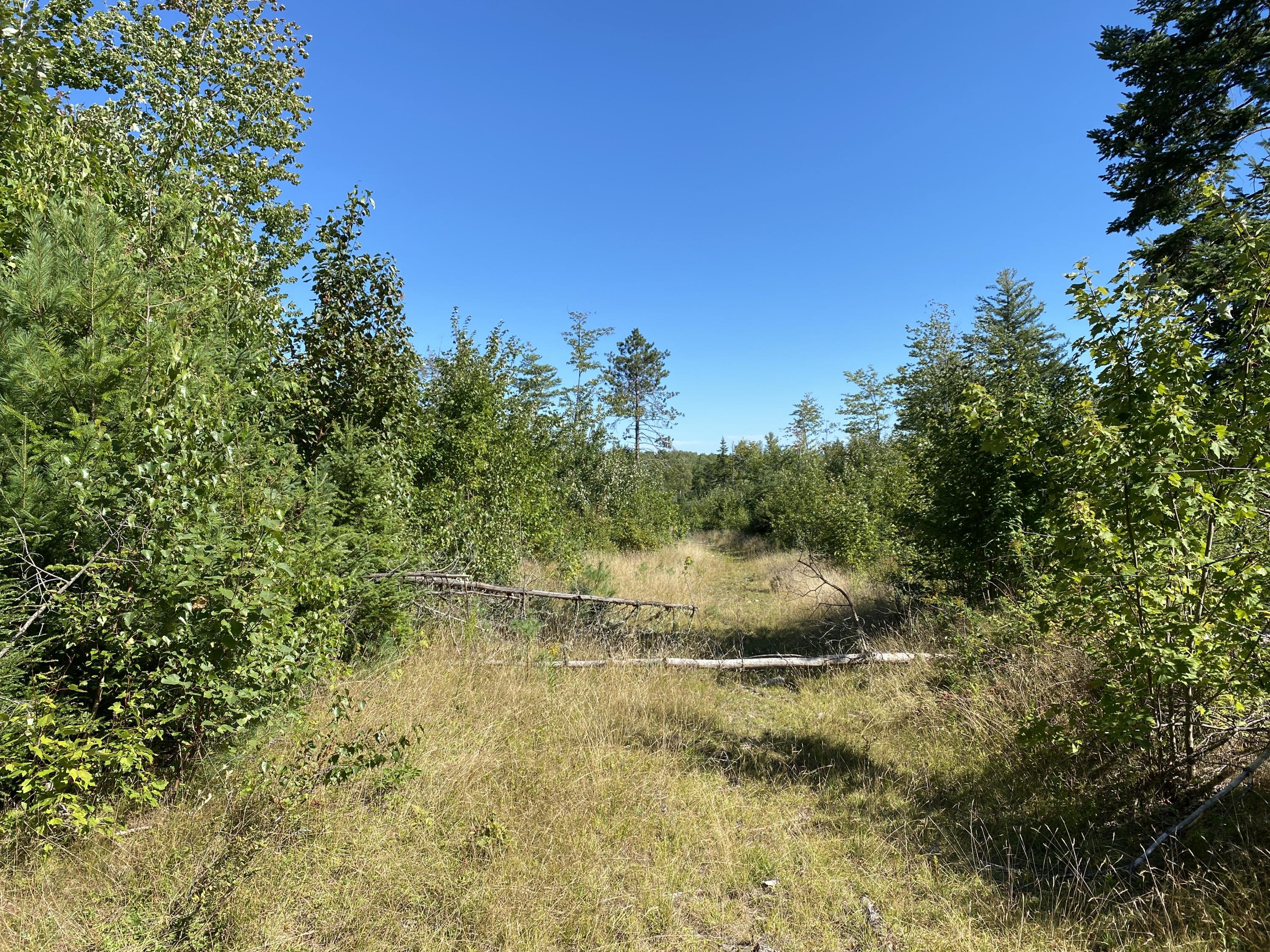 Lot 18 Cookson Road Greenbush, ME 04418 - Photo 2 of 8 IMG_1403