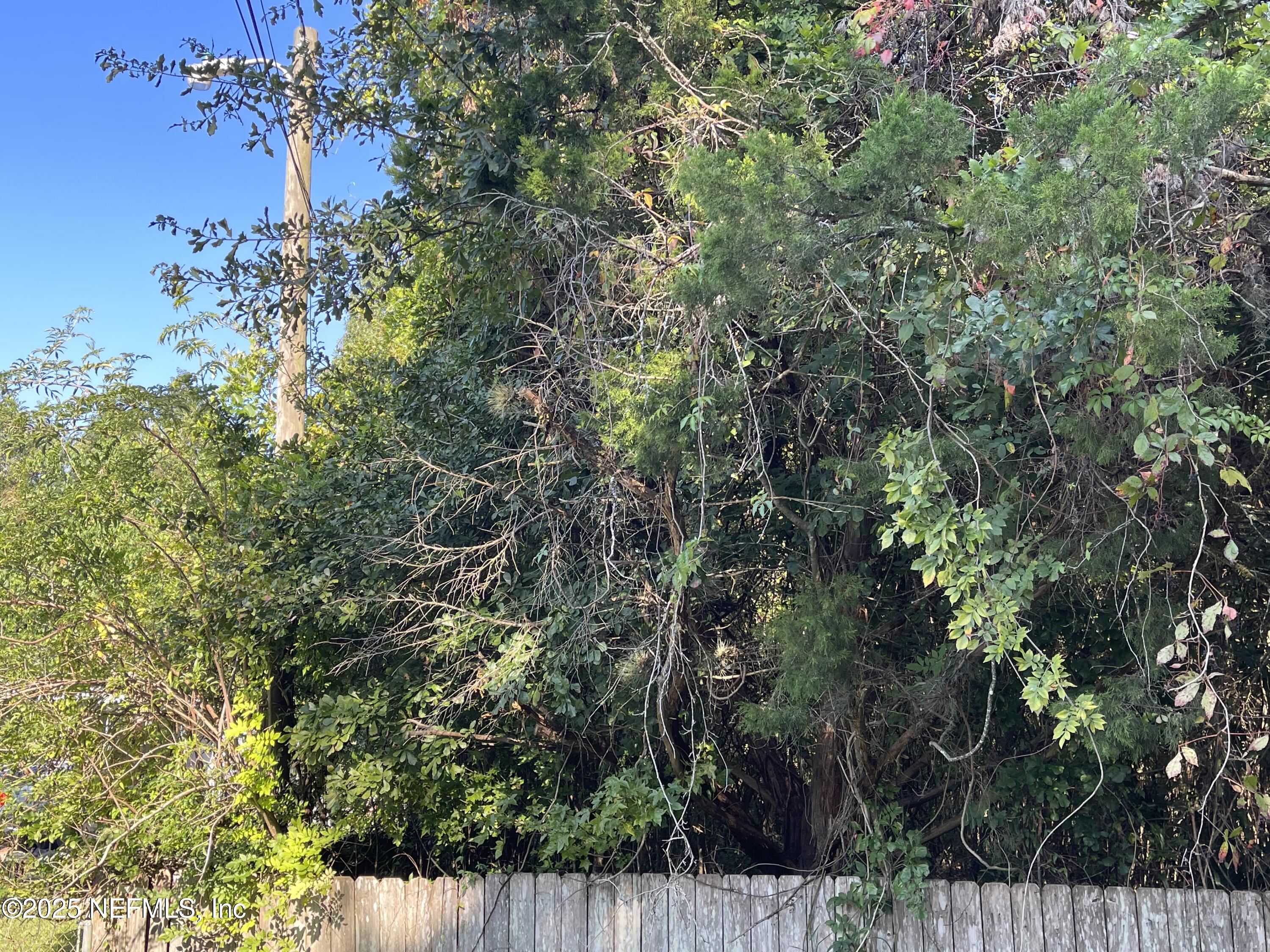 3159 Dothan Road Green Cove Springs, FL 32043 - Photo 1 of 2 a view of a wooden fence of a house with a tree