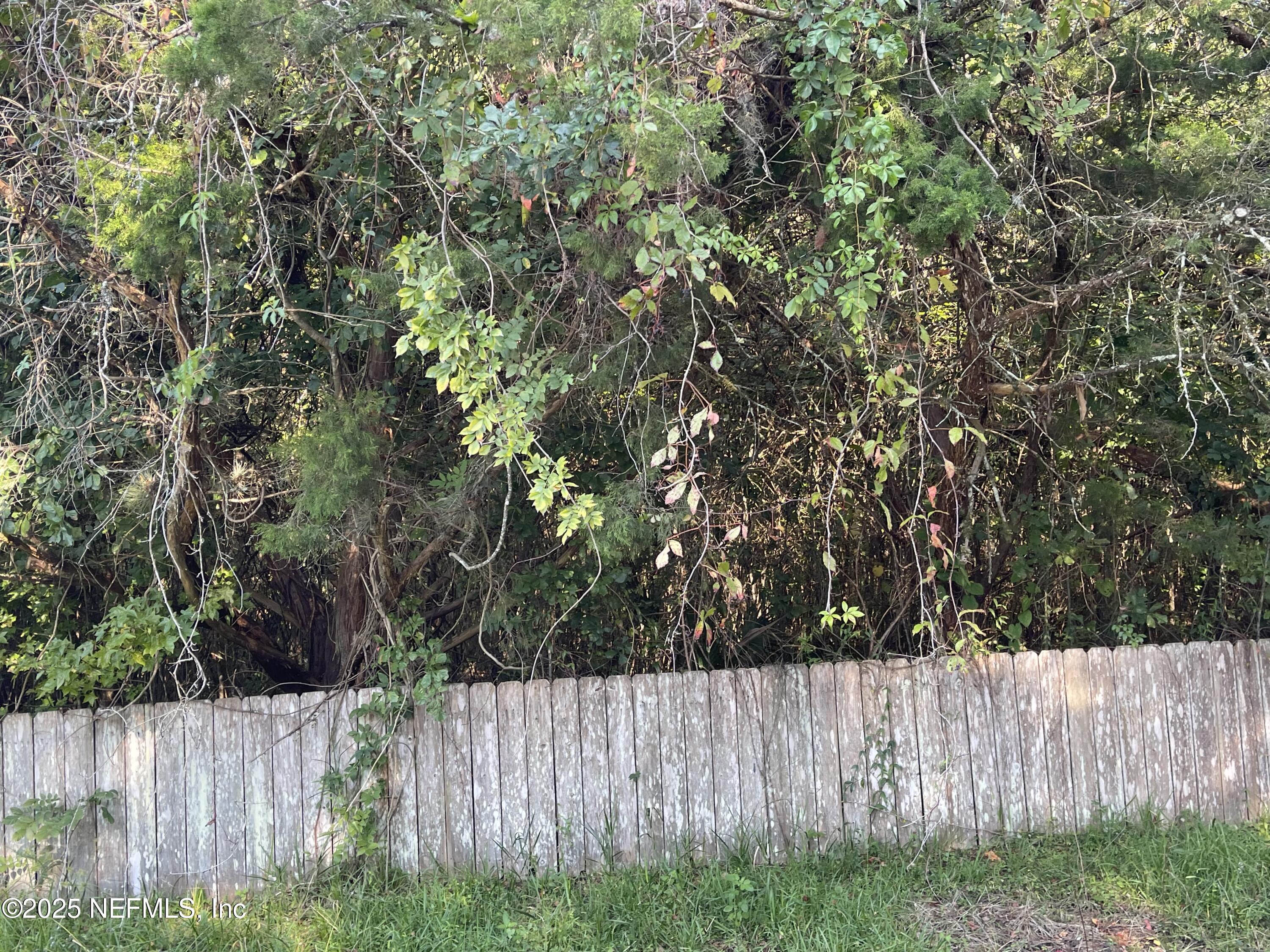 3159 Dothan Road Green Cove Springs, FL 32043 - Photo 2 of 2 a view of a yard