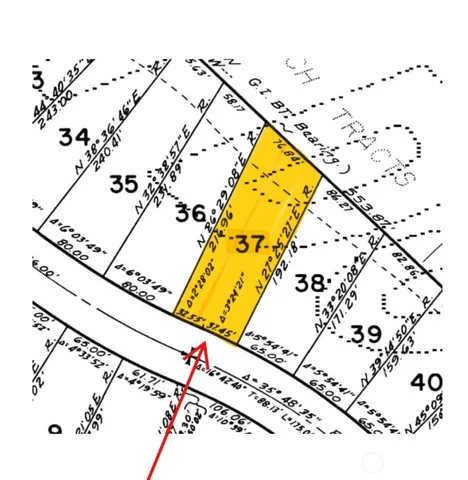 a picture of a buildings and flowers