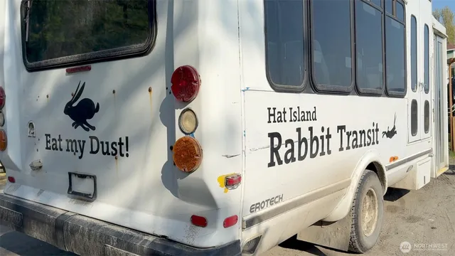a view of a yard with plants and large trees