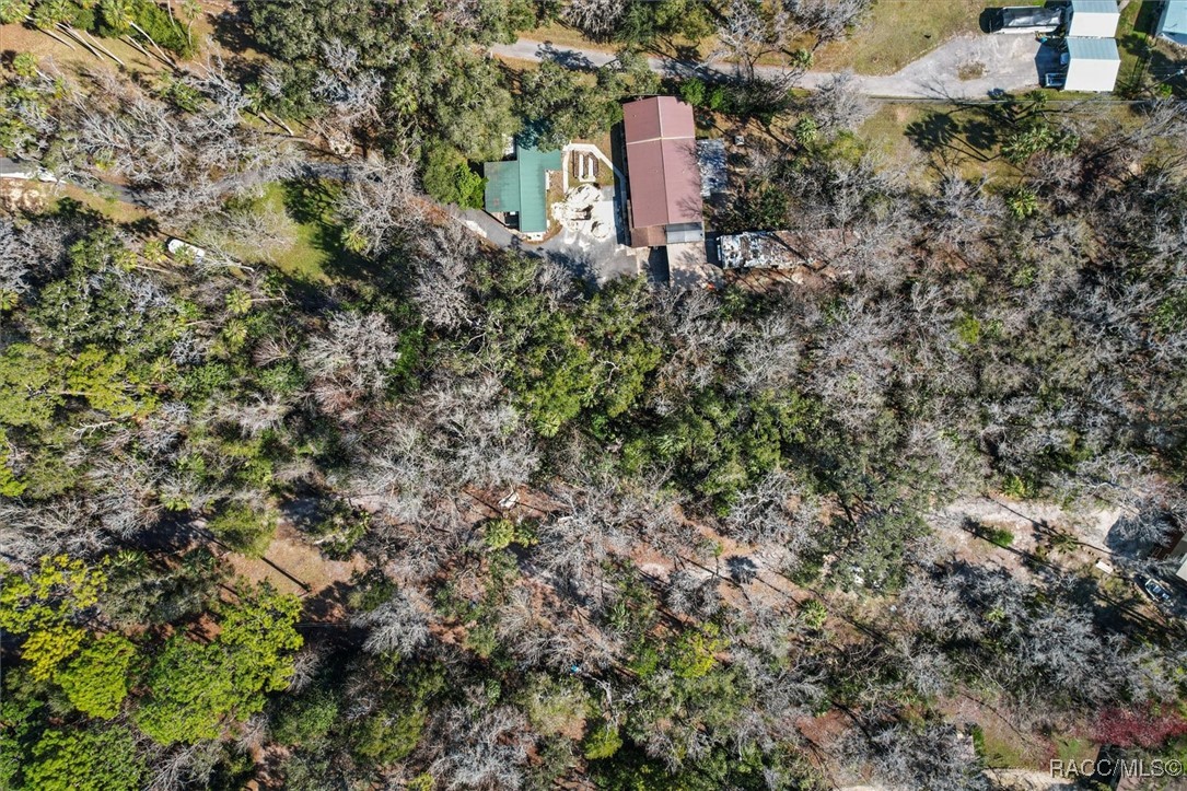 0 Our Road Inglis, FL 34449 - Photo 14 of 14