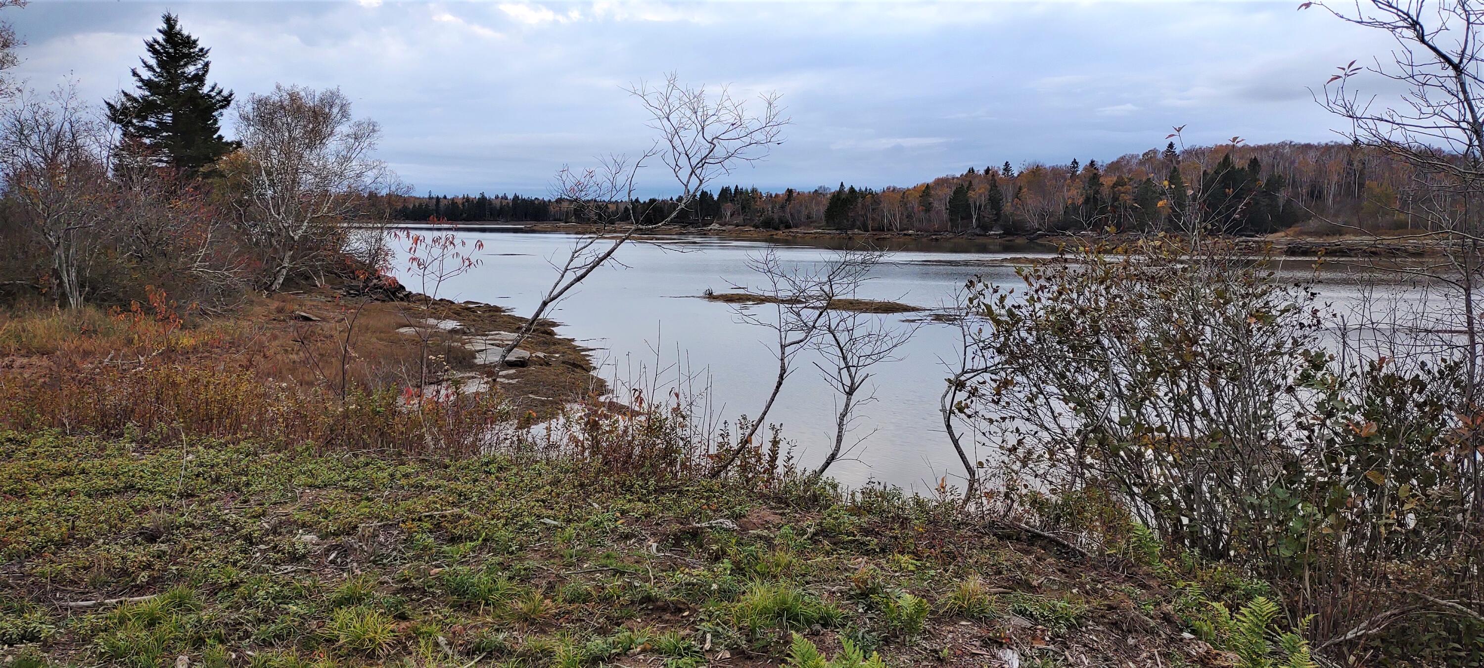 1489 Indian River Road Jonesport, ME 04649 - Photo 16 of 17 Pic 13