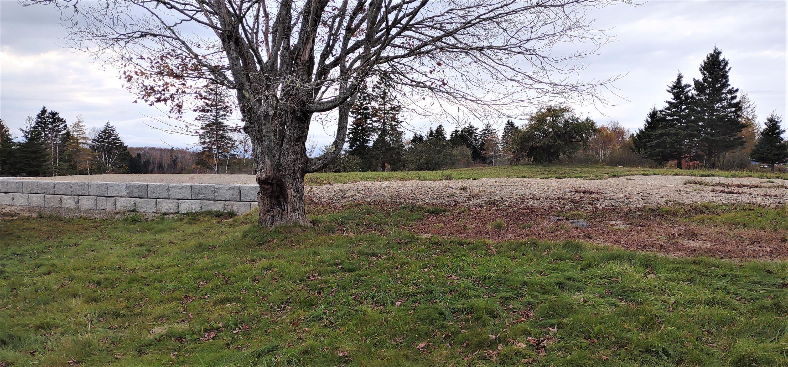 1489 Indian River Road Jonesport, ME 04649 - Photo 4 of 17 Pic 1