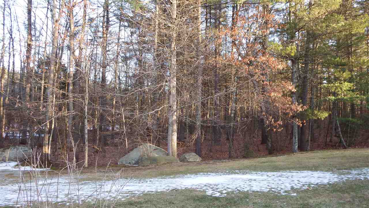 75 Indian Rock Road, Unit 75 Merrimack, NH 03054 - Photo 3 of 28