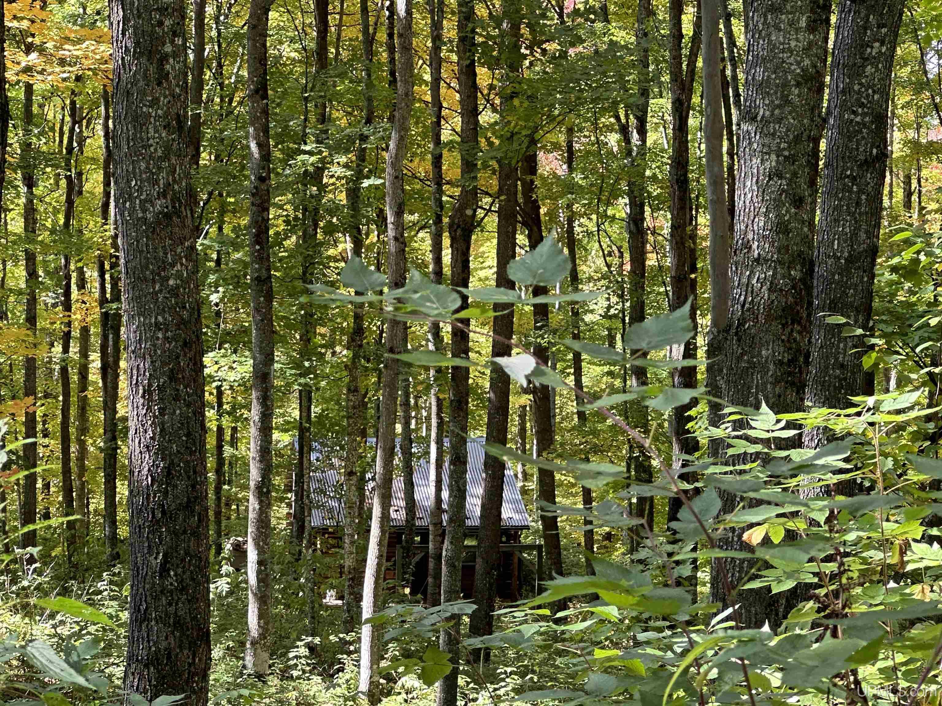 Off County Line Lake Road Bruce Crossing, MI 49912 - Photo 18 of 25