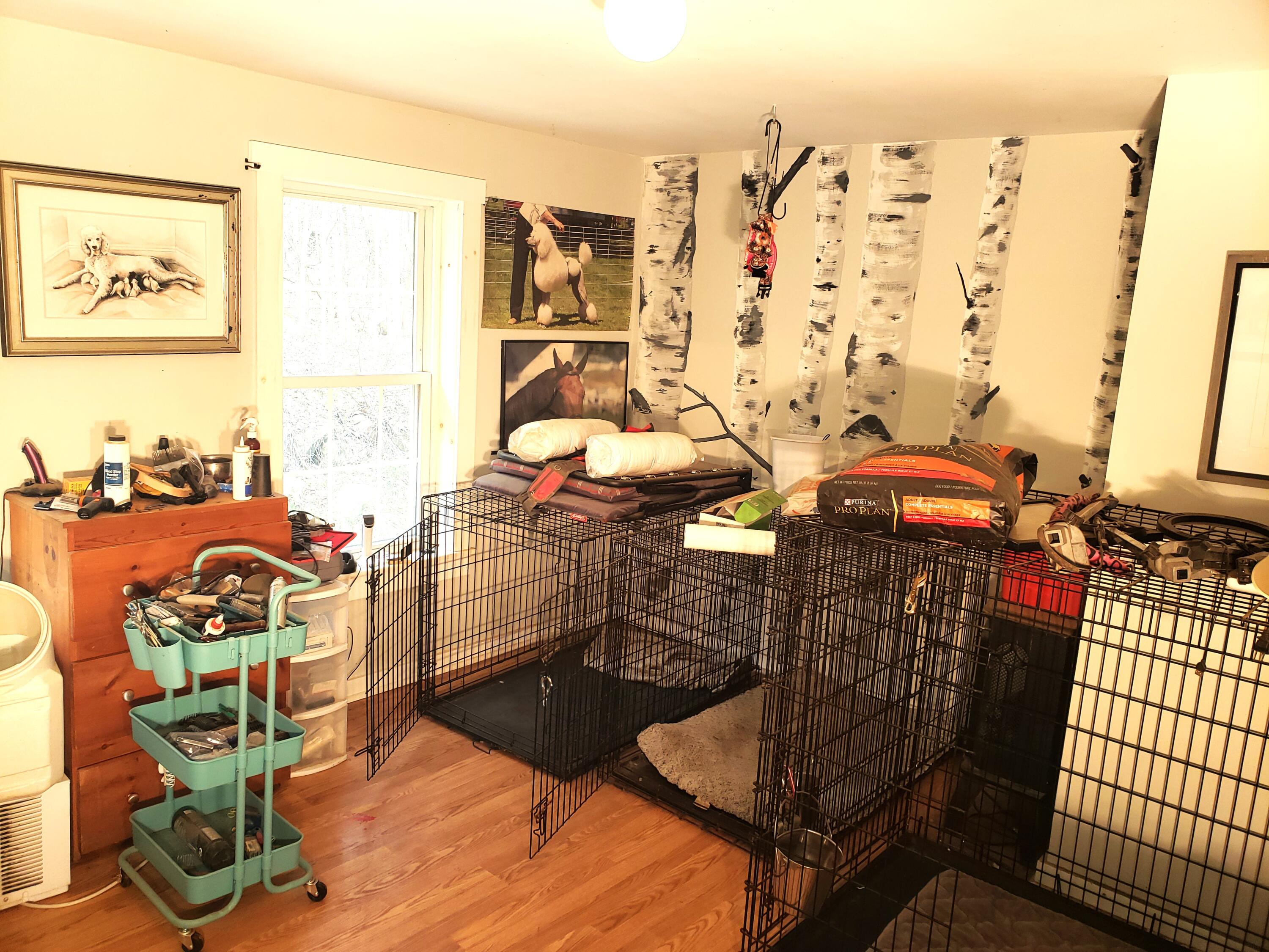 12 Kelley Hill Road Phillips, ME 04966 - Photo 27 of 32 20230508_134544