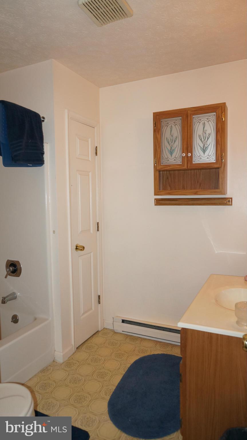 2381 Mountain Run Road Berkeley Springs, WV 25411 - Photo 22 of 23 Bath