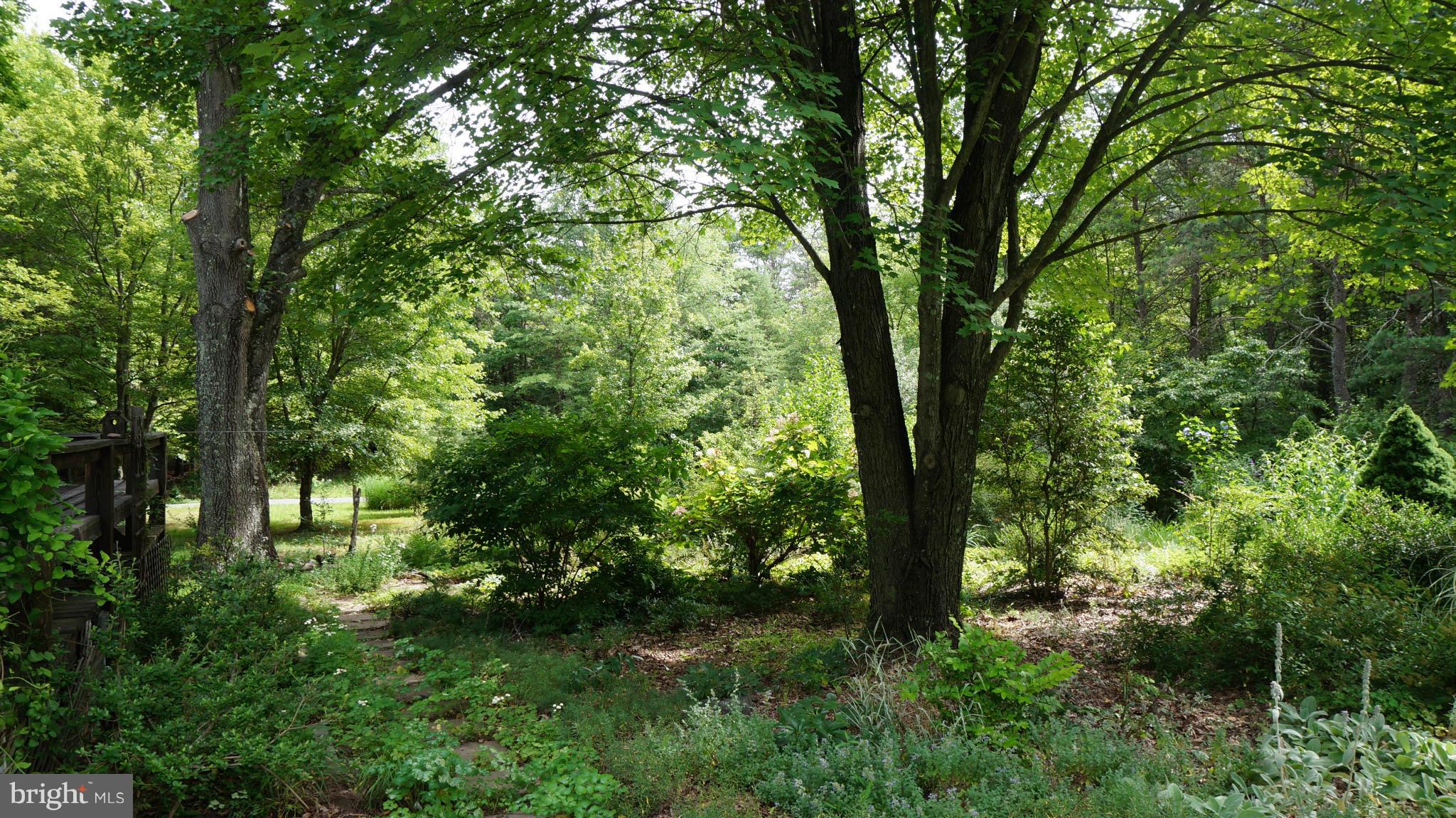 2381 Mountain Run Road Berkeley Springs, WV 25411 - Photo 7 of 23 Exterior (General)