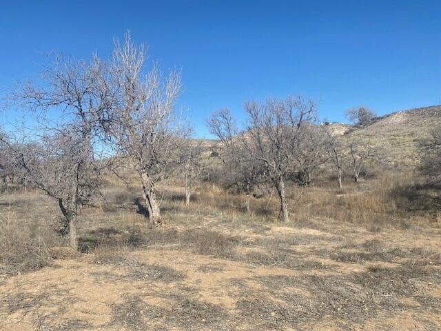 6200 West Country Club Road Canyon, TX 79015 - Photo 13 of 13 wild life and nature in Stone Creek