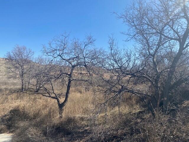 6200 West Country Club Road Canyon, TX 79015 - Photo 9 of 13 Beautiful relaxing and serene