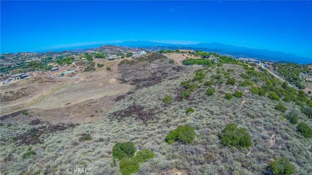 a view of a large body of water with a large tree in the background