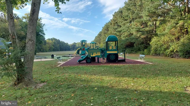 a view of a park with large trees
